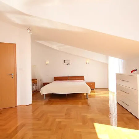 Dominik Τρογκίρ